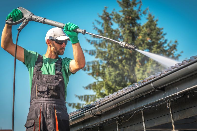 Gutter and Roof Edge Maintenance
