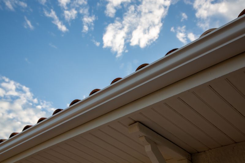 Gutter and Edge Maintenance